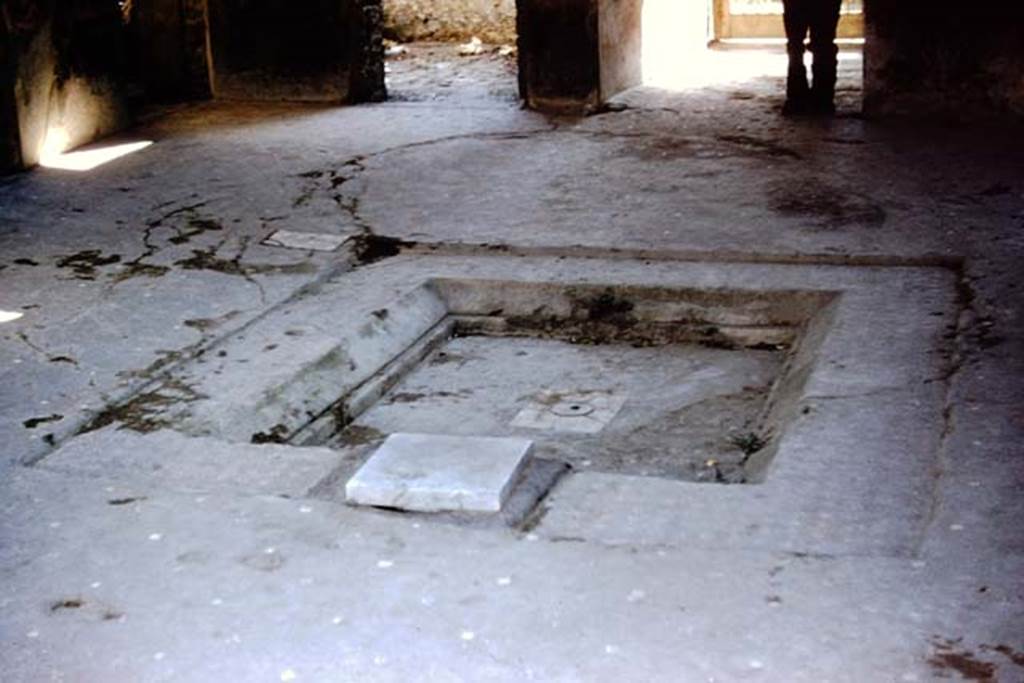 I.10.11 Pompeii. 1959. Room 2, impluvium in atrium, looking west. Photo by Stanley A. Jashemski.
Source: The Wilhelmina and Stanley A. Jashemski archive in the University of Maryland Library, Special Collections (See collection page) and made available under the Creative Commons Attribution-Non Commercial License v.4. See Licence and use details.
J59f0289
The impluvium was edged with cocciopesto and decorated with white and black tesserae (crosses). 
The flooring was of lavapesta with a decoration of dotted large white tesserae.