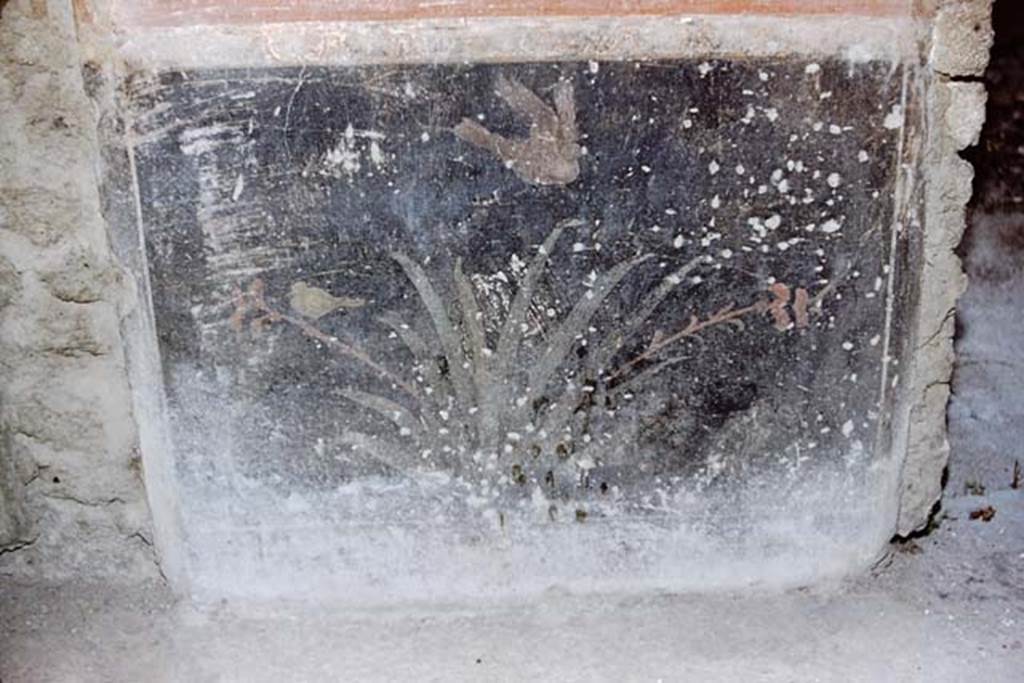 I.10.11 Pompeii. 1959. Room 2, painted plant with birds on black zoccolo on west wall in south-west corner of atrium. Photo by Stanley A. Jashemski.
Source: The Wilhelmina and Stanley A. Jashemski archive in the University of Maryland Library, Special Collections (See collection page) and made available under the Creative Commons Attribution-Non Commercial License v.4. See Licence and use details.
J59f0282