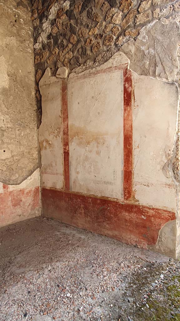 I.11.1 Pompeii. July 2021. 
South wall of ala with painted plant (?an iris) in the centre of the zoccolo of the lower wall.
In the middle of both of the side panels in the middle zone would have been a flying griffin.
There would have been a central painting in the middle of the wall but this was never documented prior to its fading and becoming illegible. 
Foto Annette Haug, ERC Grant 681269 DÉCOR.