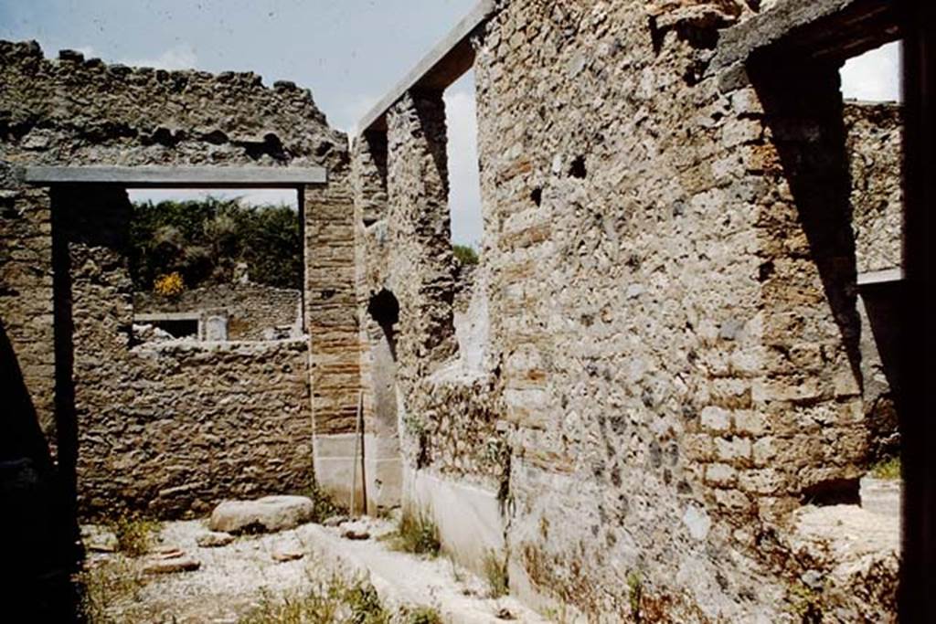 I.11.5/8 Pompeii. 1961. Looking north across garden area, towards doorway to the tablinum, centre, and window to triclinium, on right. Photo by Stanley A. Jashemski.
Source: The Wilhelmina and Stanley A. Jashemski archive in the University of Maryland Library, Special Collections (See collection page) and made available under the Creative Commons Attribution-Non Commercial License v.4. See Licence and use details.
J61f0237