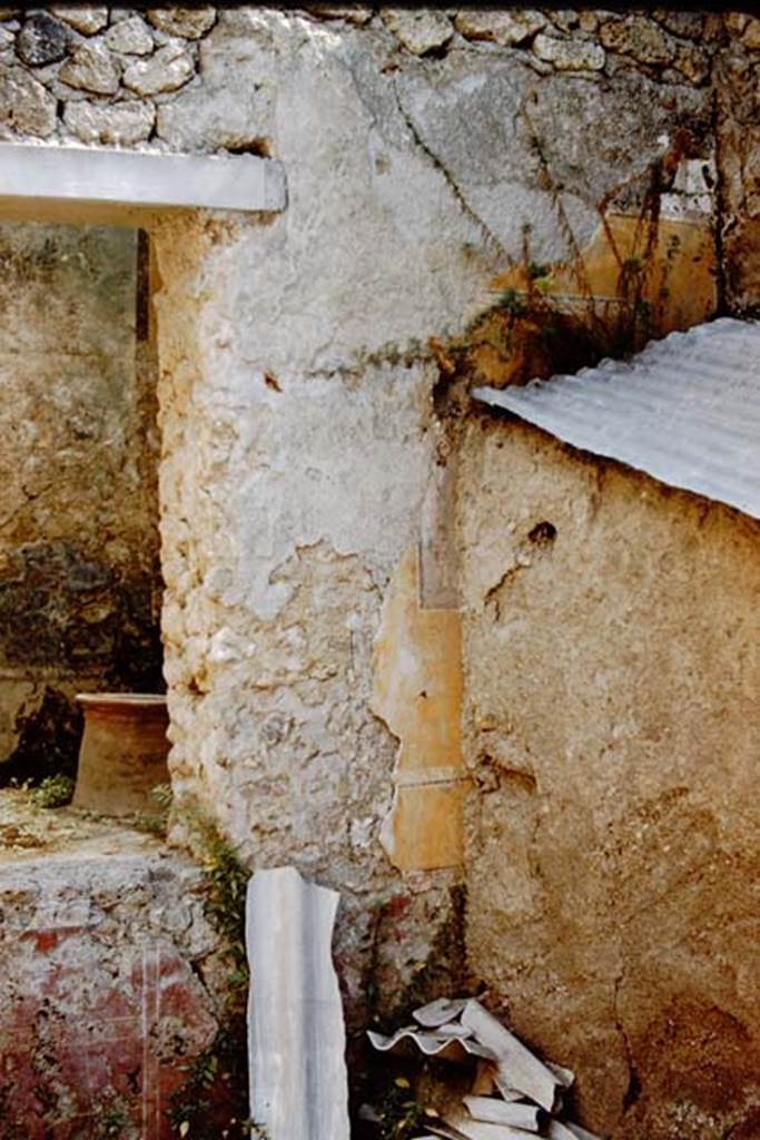 I.11.6 Pompeii. 1959. 
Room 5, tablinum. South-west corner of tablinum, with view through window to garden. 
Photo by Stanley A. Jashemski.
Source: The Wilhelmina and Stanley A. Jashemski archive in the University of Maryland Library, Special Collections (See collection page) and made available under the Creative Commons Attribution-Non Commercial License v.4. See Licence and use details.
J59f0490
The structure with the corrugated roof has been removed completely since this photograph was taken revealing the full wall decoration.
The small portion of a painted satyr can now be seen in its entirety.
See the wall painting of Dionysus/Bacchus with Silenus, tambourine and satyr, from the south wall.