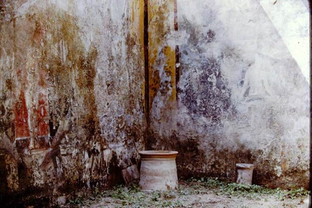 I.11.6 Pompeii. 1972. Room 6, painted decoration in south-west corner. Photo by Stanley A. Jashemski. 
Source: The Wilhelmina and Stanley A. Jashemski archive in the University of Maryland Library, Special Collections (See collection page) and made available under the Creative Commons Attribution-Non Commercial License v.4. See Licence and use details. J72f0495