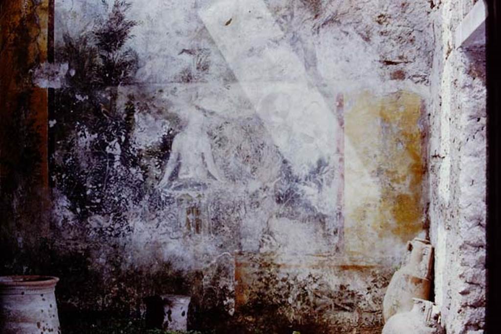 I.11.6 Pompeii. 1972. Room 6, west wall of garden area.  Photo by Stanley A. Jashemski. 
Source: The Wilhelmina and Stanley A. Jashemski archive in the University of Maryland Library, Special Collections (See collection page) and made available under the Creative Commons Attribution-Non Commercial License v.4. See Licence and use details. J72f0494