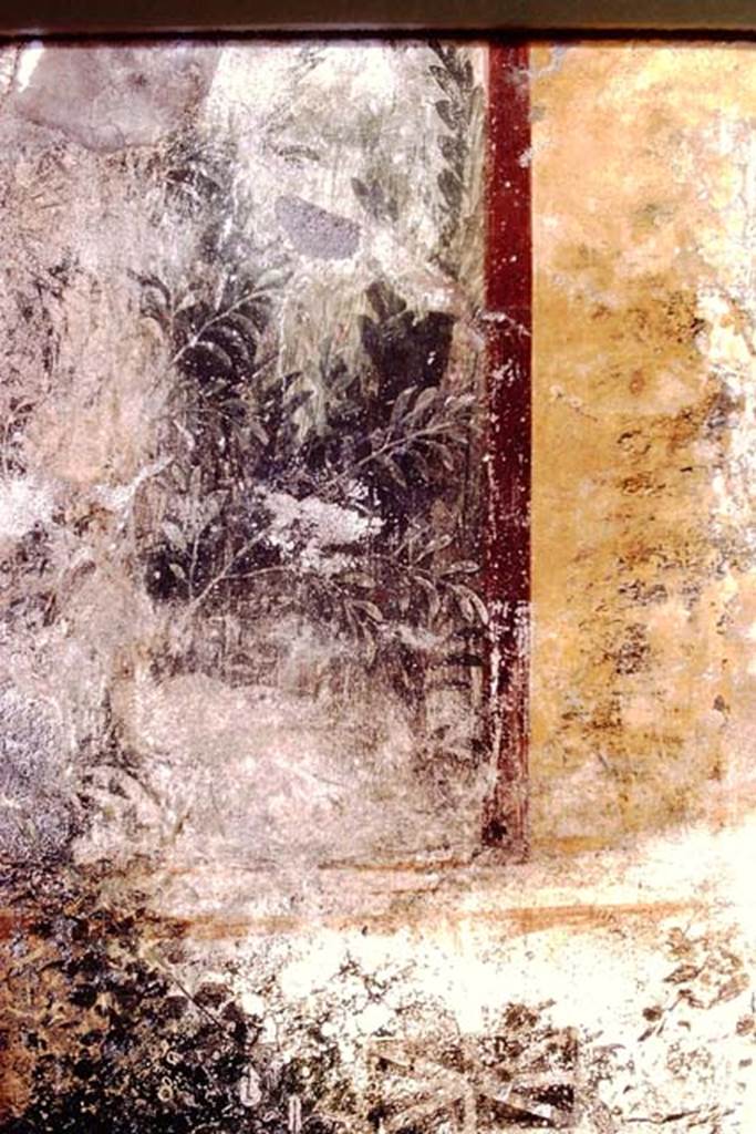 I.11.6 Pompeii. 1972. Room 6, detail from north end of west wall of garden area.  Photo by Stanley A. Jashemski. 
Source: The Wilhelmina and Stanley A. Jashemski archive in the University of Maryland Library, Special Collections (See collection page) and made available under the Creative Commons Attribution-Non Commercial License v.4. See Licence and use details. J72f0492