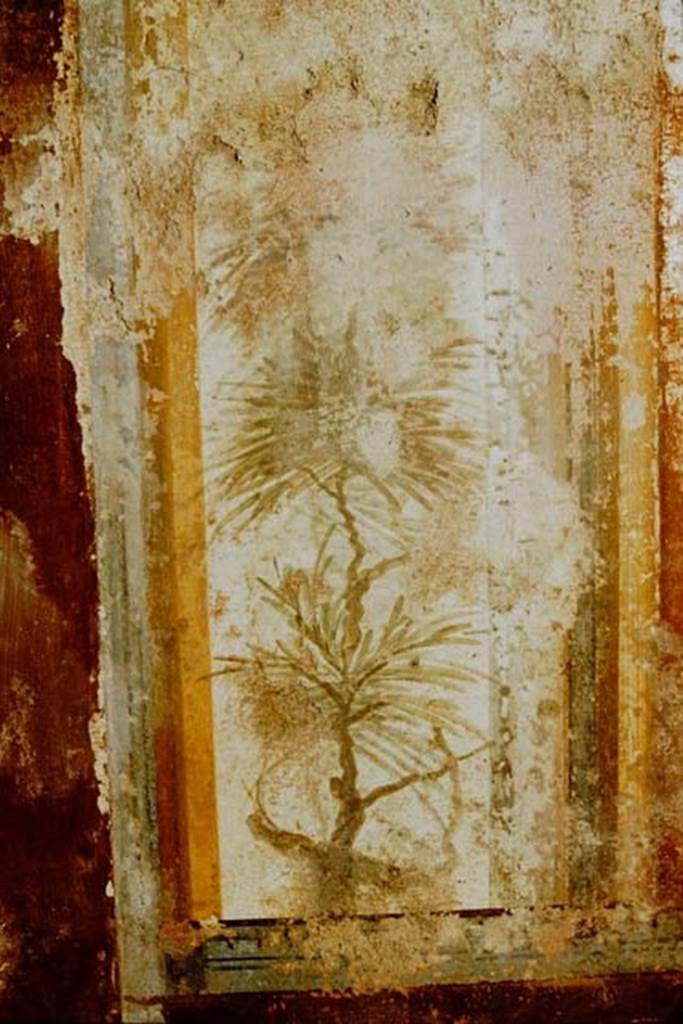 I.11.6 Pompeii. 1957.  Detail from south end of east wall of triclinium.
Photo by Stanley A. Jashemski.
Source: The Wilhelmina and Stanley A. Jashemski archive in the University of Maryland Library, Special Collections (See collection page) and made available under the Creative Commons Attribution-Non Commercial License v.4. See Licence and use details.
J57f0332