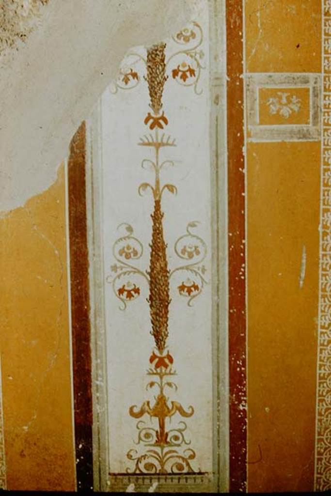 I.11.6 Pompeii. 1957. Room 7, detail from west end of north wall of triclinium.  Photo by Stanley A. Jashemski.
Source: The Wilhelmina and Stanley A. Jashemski archive in the University of Maryland Library, Special Collections (See collection page) and made available under the Creative Commons Attribution-Non Commercial License v.4. See Licence and use details.
J57f0334