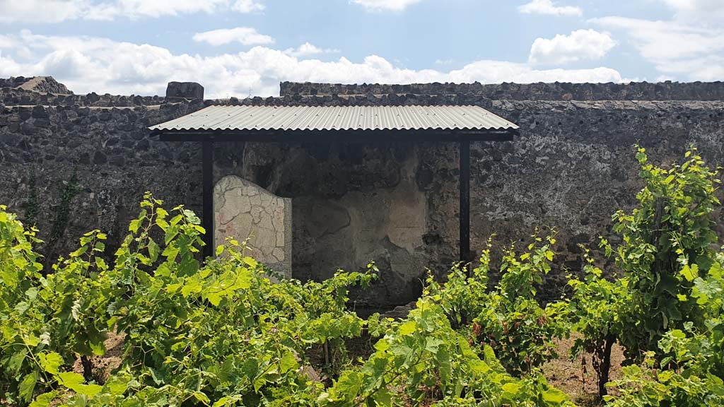 I.11.10 Pompeii. July 2021. Looking south across vineyard towards small room on south side.
Foto Annette Haug, ERC Grant 681269 DÉCOR.