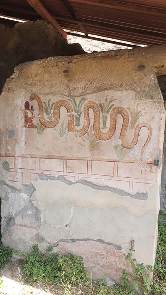 I.11.10 Pompeii. July 2021. Detail of painted serpent from south wall of latrine.  
Foto Annette Haug, ERC Grant 681269 DÉCOR.