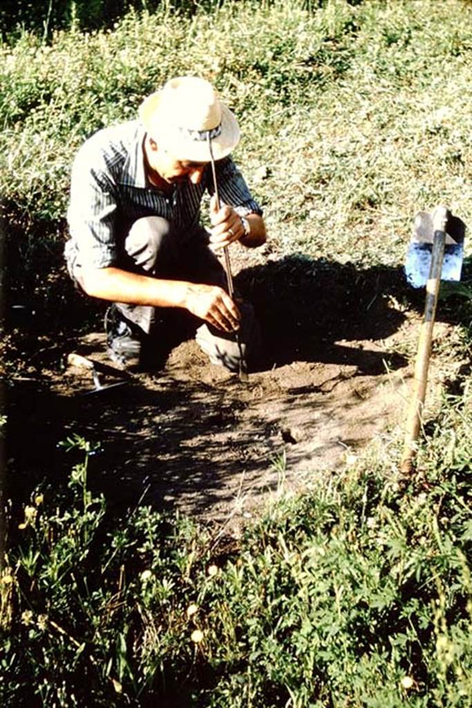 I.11.10 Pompeii. 1964. Once the cavity is found just below the original ground level and already filled with lapilli, it is dug out using a rod with a spoon-shaped tip, or long tongs with simlar tip. Wilhelmina joked that sometimes the human hand was also a good tool.  Photo by Stanley A. Jashemski.
Source: The Wilhelmina and Stanley A. Jashemski archive in the University of Maryland Library, Special Collections (See collection page) and made available under the Creative Commons Attribution-Non Commercial License v.4. See Licence and use details.
J64f1456