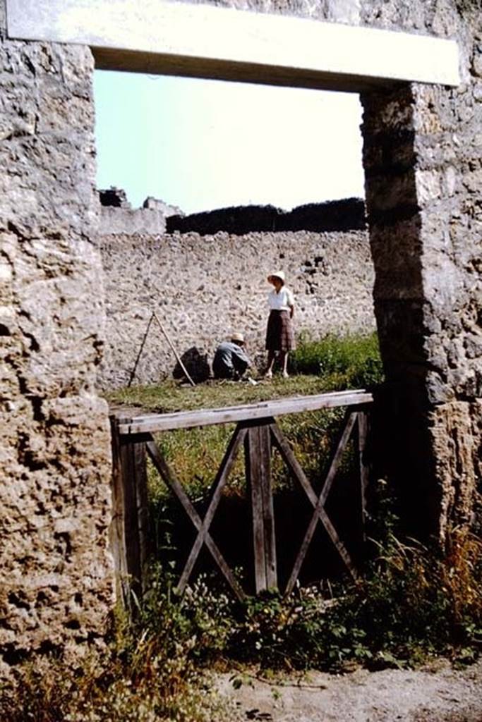I.11.10 Pompeii. 1964.  Looking through entrance doorway to garden area, working near the north wall.  Photo by Stanley A. Jashemski.
Source: The Wilhelmina and Stanley A. Jashemski archive in the University of Maryland Library, Special Collections (See collection page) and made available under the Creative Commons Attribution-Non Commercial License v.4. See Licence and use details.
J64f1465
