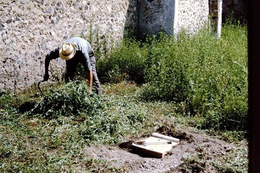I.11.10 Pompeii. 1964. Clearing the next area near the north wall.  Photo by Stanley A. Jashemski.
Source: The Wilhelmina and Stanley A. Jashemski archive in the University of Maryland Library, Special Collections (See collection page) and made available under the Creative Commons Attribution-Non Commercial License v.4. See Licence and use details.
J64f1488
