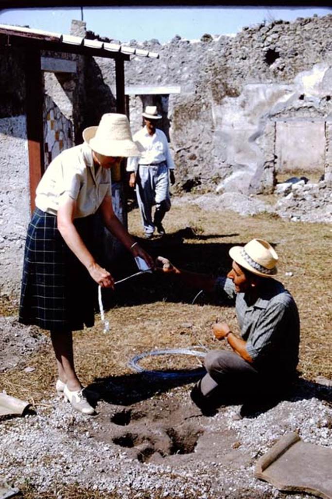 I.11.10 Pompeii. 1964. Getting the reinforcing wire ready. Photo by Stanley A. Jashemski.
Source: The Wilhelmina and Stanley A. Jashemski archive in the University of Maryland Library, Special Collections (See collection page) and made available under the Creative Commons Attribution-Non Commercial License v.4. See Licence and use details.
J64f1674