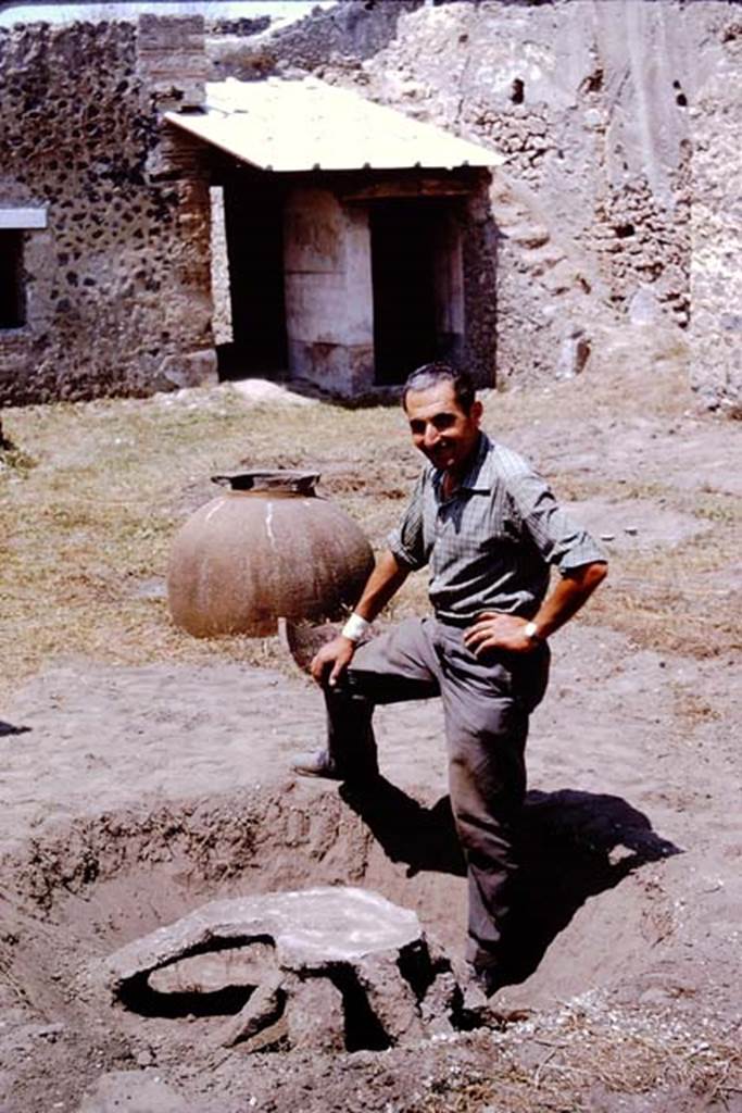 I.11.10 Pompeii. 1964. Sig. Sicignano proudly displaying all his own work. Photo by Stanley A. Jashemski.
Source: The Wilhelmina and Stanley A. Jashemski archive in the University of Maryland Library, Special Collections (See collection page) and made available under the Creative Commons Attribution-Non Commercial License v.4. See Licence and use details.
J64f1859