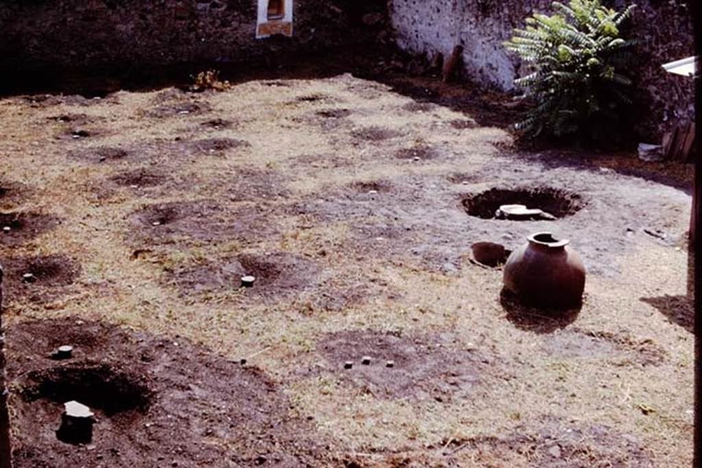 I.11.10 Pompeii. 1964. Looking south-east across garden area, showing the position of the root cavities.  Photo by Stanley A. Jashemski.
Source: The Wilhelmina and Stanley A. Jashemski archive in the University of Maryland Library, Special Collections (See collection page) and made available under the Creative Commons Attribution-Non Commercial License v.4. See Licence and use details.
J64f1939