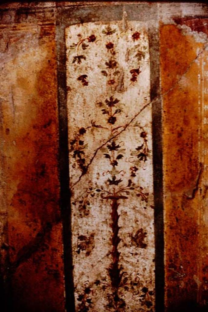 I.11.11 Pompeii. 1964. 
Room for the clients/customers, painted decoration from west wall.  Photo by Stanley A. Jashemski.
Source: The Wilhelmina and Stanley A. Jashemski archive in the University of Maryland Library, Special Collections (See collection page) and made available under the Creative Commons Attribution-Non-Commercial License v.4. See Licence and use details.
J64f1793