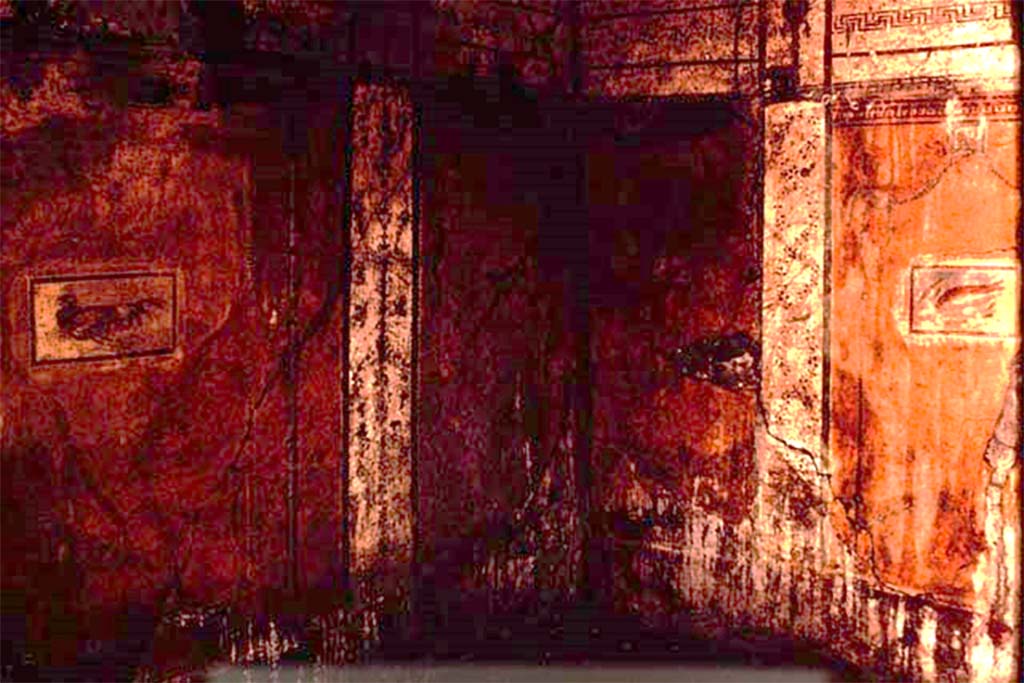 I.11.11 Pompeii. 1964. West wall, north-west corner, and north wall of room on north side of thermopolium.   
Photo by Stanley A. Jashemski.
Source: The Wilhelmina and Stanley A. Jashemski archive in the University of Maryland Library, Special Collections (See collection page) and made available under the Creative Commons Attribution-Non-Commercial License v.4. See Licence and use details.
J64f1794