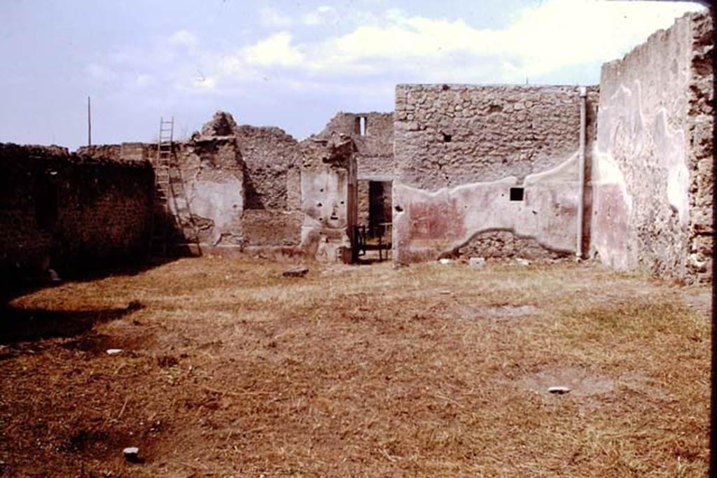 I.11.12 Pompeii. 1964. Looking west across garden area used as a vineyard. Plaster casts of roots can be seen in the photo. 
Photo by Stanley A. Jashemski.
Source: The Wilhelmina and Stanley A. Jashemski archive in the University of Maryland Library, Special Collections (See collection page) and made available under the Creative Commons Attribution-Non Commercial License v.4. See Licence and use details.
J64f1954