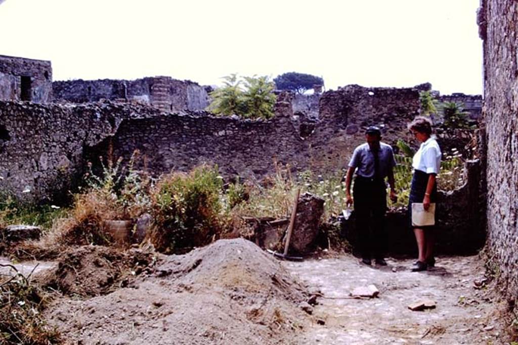 I.11.14 Pompeii. 1966. Looking south across excavations in garden area near south and west walls. The low demolished wall is the boundary wall between two gardens, the other garden being I.11.12.  Photo by Stanley A. Jashemski.
Source: The Wilhelmina and Stanley A. Jashemski archive in the University of Maryland Library, Special Collections (See collection page) and made available under the Creative Commons Attribution-Non Commercial License v.4. See Licence and use details.
J66f0508