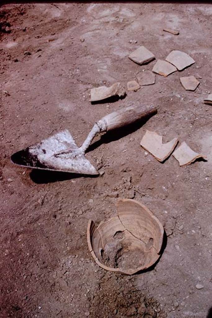 I.11.14 Pompeii. 1966. Planting pot. It had a large hole 4cm in diameter in its base, and 4 holes about 1,5cm in diameter on the sides.  The preserved height was 12 cm.
See Jashemski, W. F., 1993. The Gardens of Pompeii, Volume II: Appendices. New York: Caratzas. (p.52). Photo by Stanley A. Jashemski.
Source: The Wilhelmina and Stanley A. Jashemski archive in the University of Maryland Library, Special Collections (See collection page) and made available under the Creative Commons Attribution-Non Commercial License v.4. See Licence and use details.
J66f0514