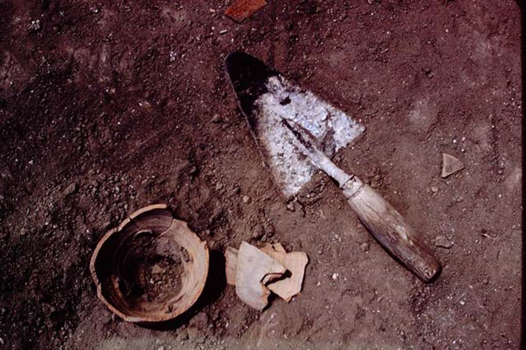 I.11.14 Pompeii. 1966. Planting pot found in the soil.  Photo by Stanley A. Jashemski.
Source: The Wilhelmina and Stanley A. Jashemski archive in the University of Maryland Library, Special Collections (See collection page) and made available under the Creative Commons Attribution-Non Commercial License v.4. See Licence and use details.
J66f0516