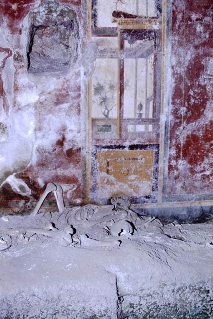 I.11.15 Pompeii. 1968. Room 9, detail from painted west wall and skeleton. Photo by Stanley A. Jashemski.
Source: The Wilhelmina and Stanley A. Jashemski archive in the University of Maryland Library, Special Collections (See collection page) and made available under the Creative Commons Attribution-Non Commercial License v.4. See Licence and use details.
J68f1298