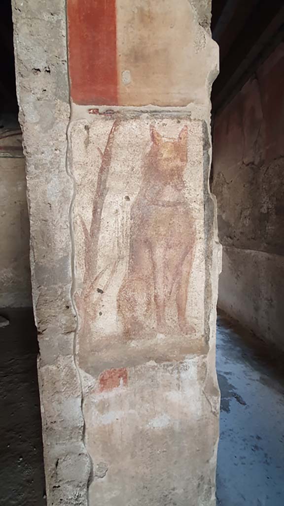 I.12.3 Pompeii. July 2021. 
Pillar with painted dog, with corridor to garden at rear, on right.
Foto Annette Haug, ERC Grant 681269 DÉCOR