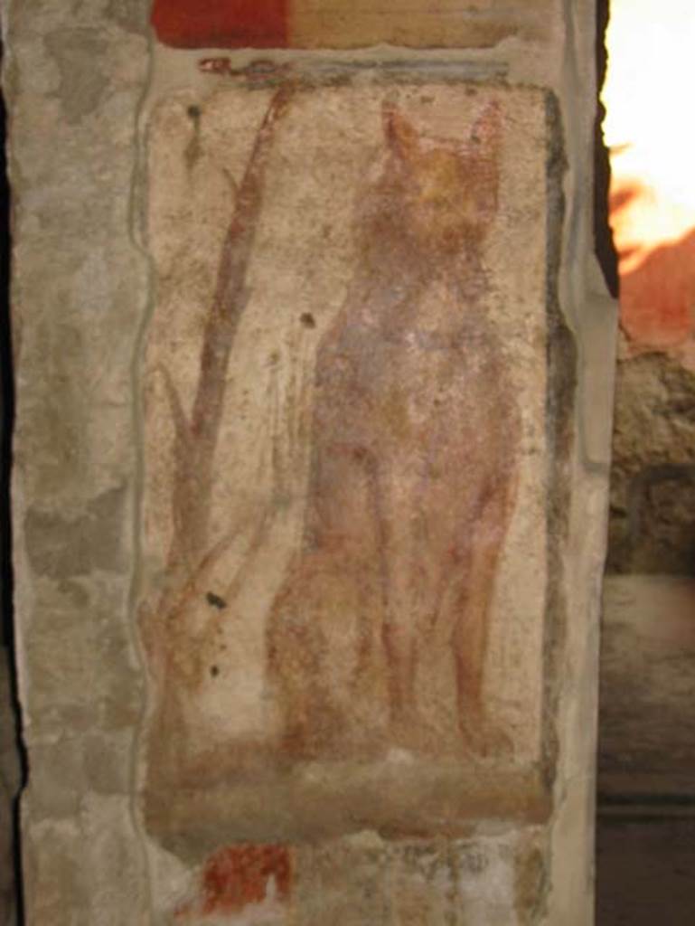 I.12.3 Pompeii. May 2003. Room 1, portrait of dog on pillar. 
Photo courtesy of Nicolas Monteix.