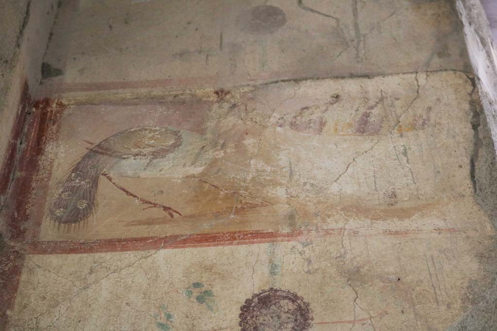 I.12.5 Pompeii. December 2018. 
Detail of painted decoration on north wall of cubiculum, on west side of window. Photo courtesy of Aude Durand.
According to PPM –
this shows a still life hanging from a pillar adorned with two medallions, depicting a peacock and a basket covered with a striped cloth.
See Carratelli, G. P., 1990-2003. Pompei: Pitture e Mosaici. Vol. II. Roma: Istituto della enciclopedia italiana, p.741, no.10.
(Note: the description in PPM says the north wall of the cubiculum (5), whereas in fact they mean cubiculum (6), the room on the west side of the caupona/bar-room, according to their plan.)