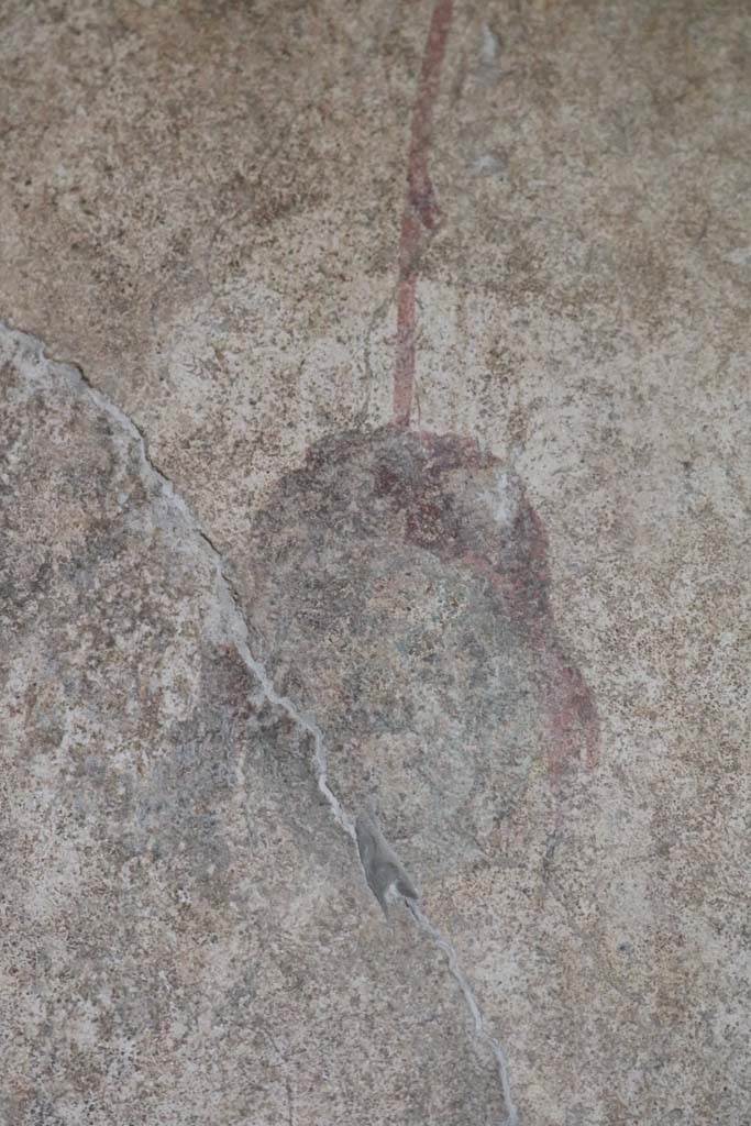 I.12.5 Pompeii. December 2018. 
Detail of painted mask on west side of north wall of cubiculum. Photo courtesy of Aude Durand.