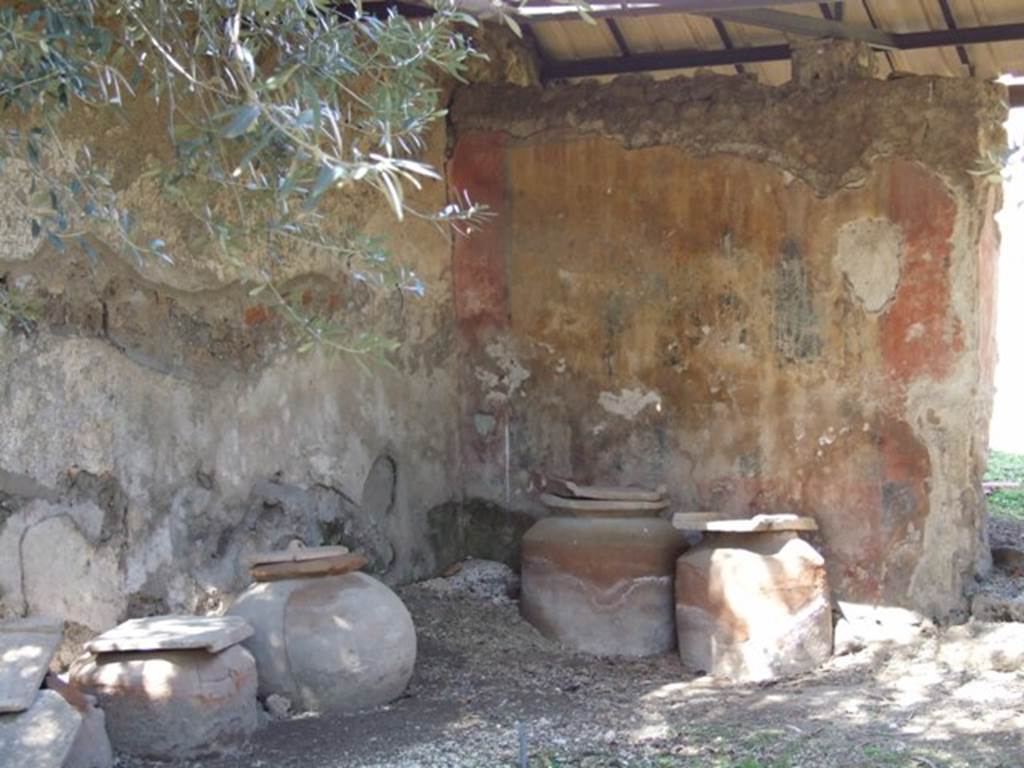 I.12.8 Pompeii. March 2009. Room 9, north-west corner showing five of the six dolia found here. The sixth stands near the latrine in the north-east corner of the peristyle garden.
According to Curtis, five of these containers held the remains of a fish sauce, garum or liquamen. Garum was the product formed from the self-maceration of fish and other small marine animals in salt. Liquamen was a closely related fish sauce.
Several of the amphorae that were also found here also contained a substance similar to that found in the dolia. Maiuri stated that when these vessels were excavated the smell of fish was still fresh. This smell remained strong for some time after the exposure to the air.
The dried fish sauce contained the small bones and vertebrae of anchovies. Although the clear liquid had long since dried up, it left the odour entrapped until released in 1960.
See Curtis, R.I: The Garum shop at Pompeii, In Cronache Pompeiane, V,1979, (p.10)
See Maiuri, A: L’odore della salsa di 2000 anni fa, In Corriere della Sera (Milan), 2 January 1961, p.3