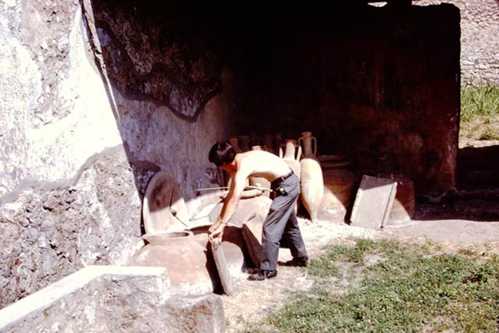 I.12.8 Pompeii, 1973. Room 9, looking north to north-west corner of peristyle garden. 
Photo by Stanley A. Jashemski. 
Source: The Wilhelmina and Stanley A. Jashemski archive in the University of Maryland Library, Special Collections (See collection page) and made available under the Creative Commons Attribution-Non Commercial License v.4. See Licence and use details. J73f0219