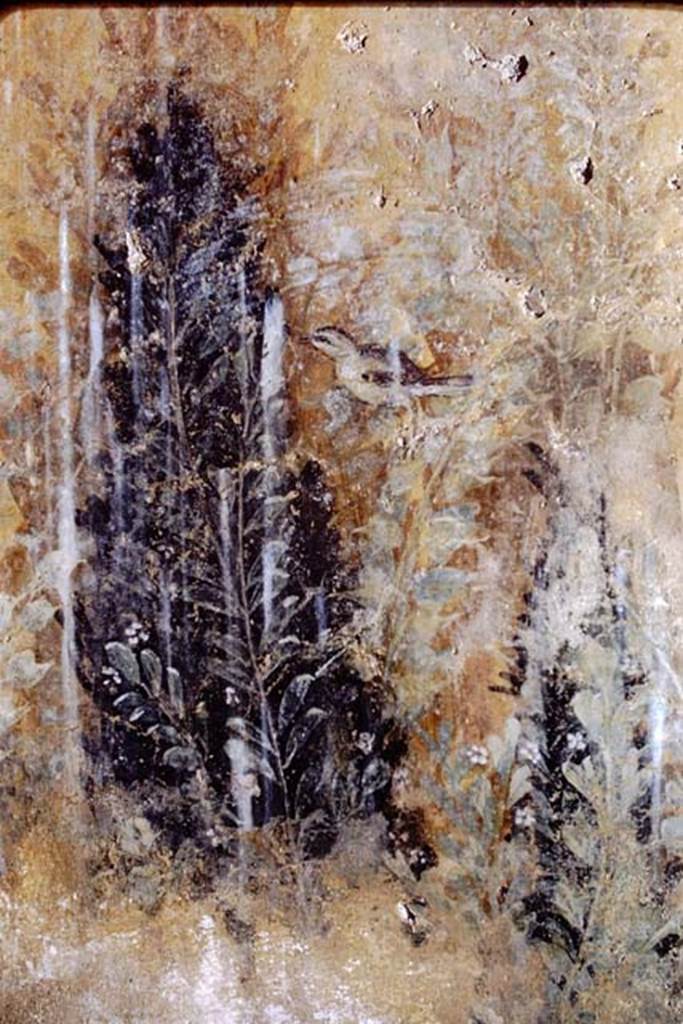 I.12.8 Pompeii. 1968. Room 9, detail from garden painting on west side of north wall. 
Photo by Stanley A. Jashemski.
Source: The Wilhelmina and Stanley A. Jashemski archive in the University of Maryland Library, Special Collections (See collection page) and made available under the Creative Commons Attribution-Non Commercial License v.4. See Licence and use details.
J68f1280