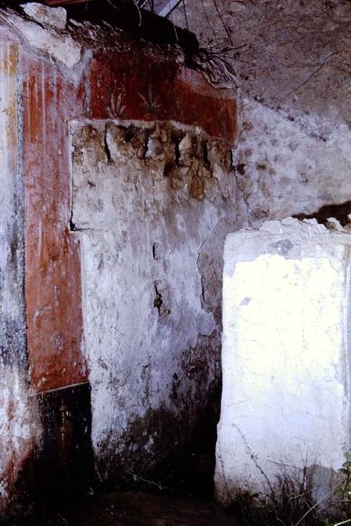 I.12.8 Pompeii, 1968.  Room 9, north wall in north-east corner of peristyle garden, and doorway to room 12.
Photo by Stanley A. Jashemski. 
Source: The Wilhelmina and Stanley A. Jashemski archive in the University of Maryland Library, Special Collections (See collection page) and made available under the Creative Commons Attribution-Non-Commercial License v.4. See Licence and use details.
J68f1274