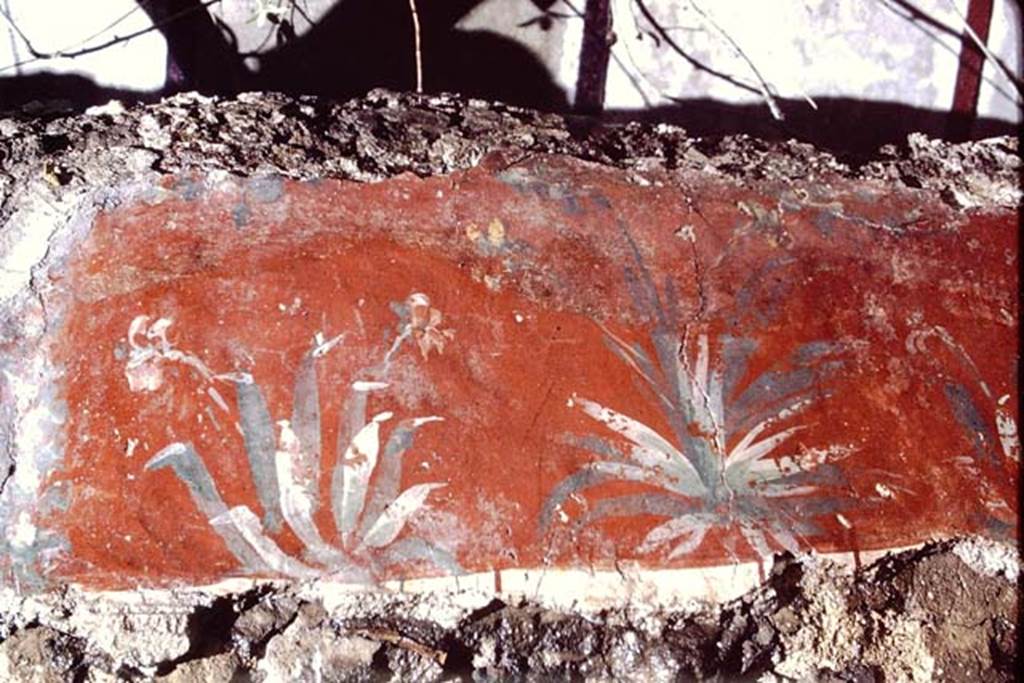 I.12.8 Pompeii, 1968. Room 8, latrine, detail of painting from upper north wall.
Photo by Stanley A. Jashemski.
Source: The Wilhelmina and Stanley A. Jashemski archive in the University of Maryland Library, Special Collections (See collection page) and made available under the Creative Commons Attribution-Non Commercial License v.4. See Licence and use details. J68f1273
