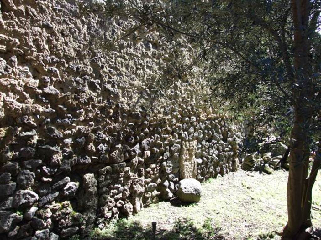 I.12.8 Pompeii. March 2009. Room 9, east wall and area where the root cavities of one of the fig trees were discovered by Jashemski. According to Curtis, he thought the trees would have enhanced the effect of the garden painting on the north wall, provided shade for the workmen, and in the case of this tree provided some privacy for those using the latrine.
See Curtis R.L: The Garum shop of Pompeii, In Cronache Pompeiane, V.1979, p.19.