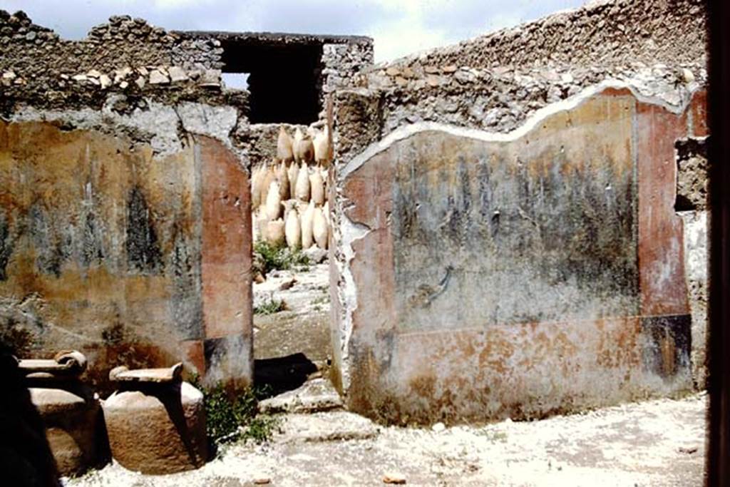 I.12.8 Pompeii. 1961. Looking north-east through doorway into room 13, the rear garden.  Photo by Stanley A. Jashemski.
Source: The Wilhelmina and Stanley A. Jashemski archive in the University of Maryland Library, Special Collections (See collection page) and made available under the Creative Commons Attribution-Non Commercial License v.4. See Licence and use details.
J61f0548