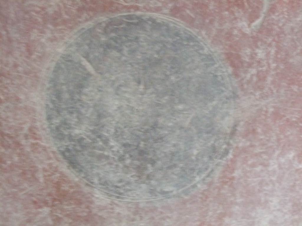 I.12.11.  December 2007.  Room east of the garden area. Round painted medallion panel.