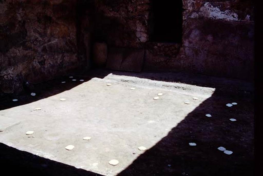 I.12.11 Pompeii. 1975. Looking towards north-east corner of garden area, and east wall with window. Photo by Stanley A. Jashemski.   
Source: The Wilhelmina and Stanley A. Jashemski archive in the University of Maryland Library, Special Collections (See collection page) and made available under the Creative Commons Attribution-Non Commercial License v.4. See Licence and use details. J75f0386