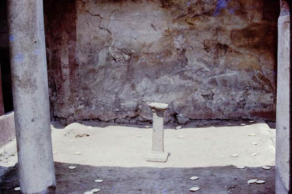 I.12.11Pompeii. 1975. Looking north across small garden area towards remains of large animal painting on north wall. Photo by Stanley A. Jashemski.   
Source: The Wilhelmina and Stanley A. Jashemski archive in the University of Maryland Library, Special Collections (See collection page) and made available under the Creative Commons Attribution-Non Commercial License v.4. See Licence and use details. J75f0687