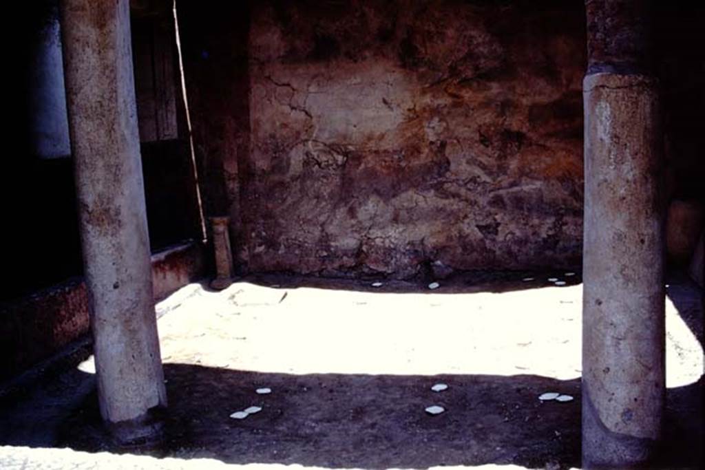 I.12.11 Pompeii. 1975. Looking north-west across garden area. Photo by Stanley A. Jashemski.   
Source: The Wilhelmina and Stanley A. Jashemski archive in the University of Maryland Library, Special Collections (See collection page) and made available under the Creative Commons Attribution-Non Commercial License v.4. See Licence and use details. J75f0384
