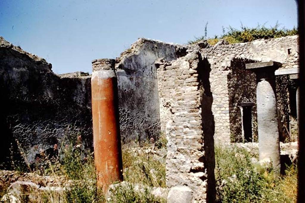I.13.1 Pompeii. 1961. Looking north from the south-east corner of the portico. Photo by Stanley A. Jashemski.
Source: The Wilhelmina and Stanley A. Jashemski archive in the University of Maryland Library, Special Collections (See collection page) and made available under the Creative Commons Attribution-Non Commercial License v.4. See Licence and use details.
J61f0266