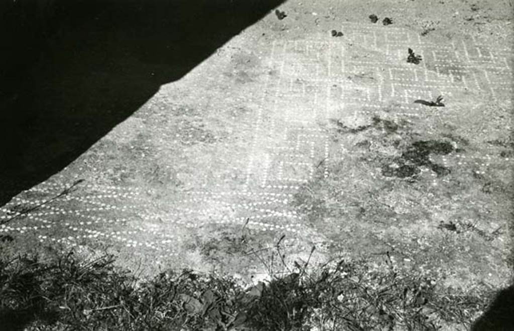 I.13.2 Pompeii. 1974. Domus of Sutoria Primigenia, left ala, floor.  Photo courtesy of Anne Laidlaw.
American Academy in Rome, Photographic Archive. Laidlaw collection _P_74_3_7.