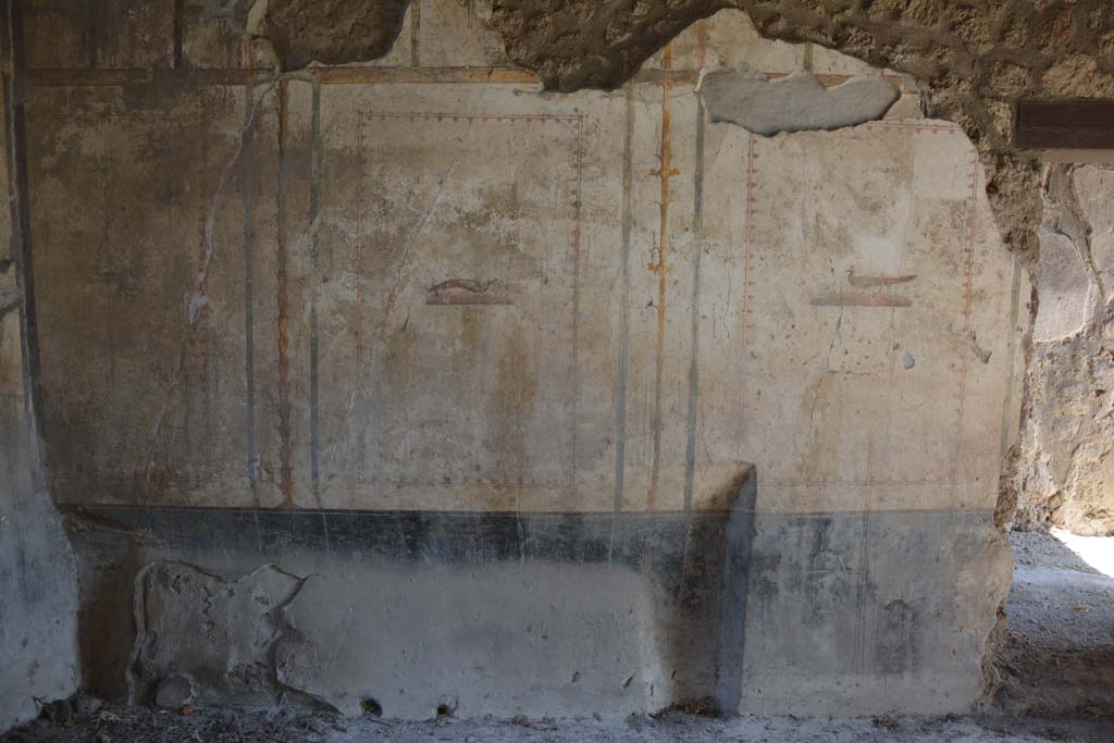 I.13.2 Pompeii. October 2019. East wall of triclinium with three vignettes of a swan and two of peacocks in profile.
Foto Annette Haug, ERC Grant 681269 DÉCOR.