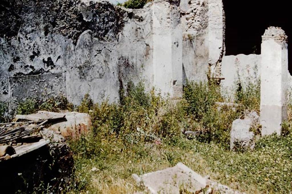 I.13.2 Pompeii. 1961. Looking north-west across garden area towards window from triclinium. Photo by Stanley A. Jashemski.
Source: The Wilhelmina and Stanley A. Jashemski archive in the University of Maryland Library, Special Collections (See collection page) and made available under the Creative Commons Attribution-Non Commercial License v.4. See Licence and use details.
J61f0259