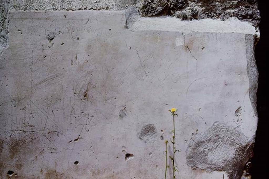 I.13.9 Pompeii. 1966. Inscription from south (left) of doorway. Photo by Stanley A. Jashemski.  
Source: The Wilhelmina and Stanley A. Jashemski archive in the University of Maryland Library, Special Collections (See collection page) and made available under the Creative Commons Attribution-Non Commercial License v.4. See Licence and use details. J66f0274