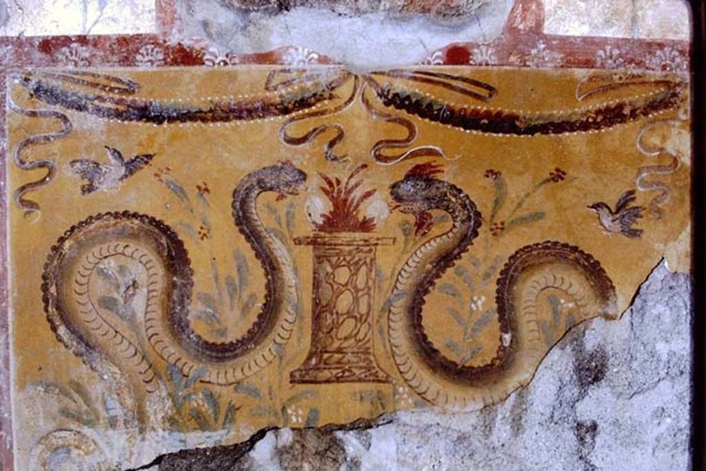 I.13.11 Pompeii. 1968. Detail of two painted serpents approaching an altar, with garlands, plants and birds above. Photo by Stanley A. Jashemski.
Source: The Wilhelmina and Stanley A. Jashemski archive in the University of Maryland Library, Special Collections (See collection page) and made available under the Creative Commons Attribution-Non Commercial License v.4. See Licence and use details.
J68f1898
