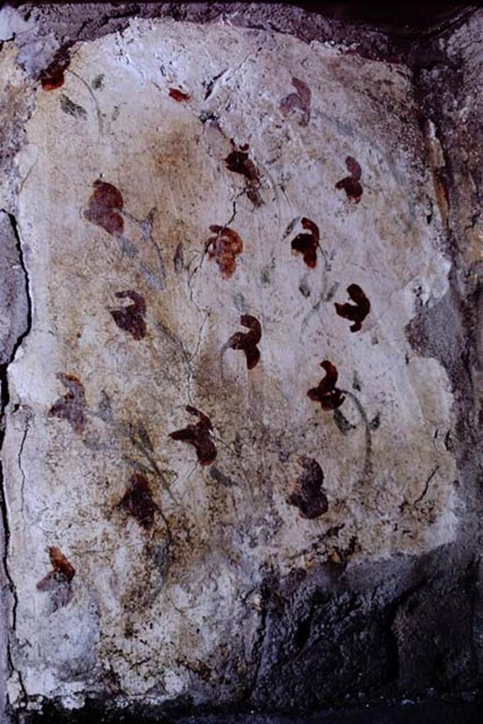 I.13.11 Pompeii. 1968. Detail from the south wall of the lararium niche. Photo by Stanley A. Jashemski.
Source: The Wilhelmina and Stanley A. Jashemski archive in the University of Maryland Library, Special Collections (See collection page) and made available under the Creative Commons Attribution-Non Commercial License v.4. See Licence and use details.
J68f1899