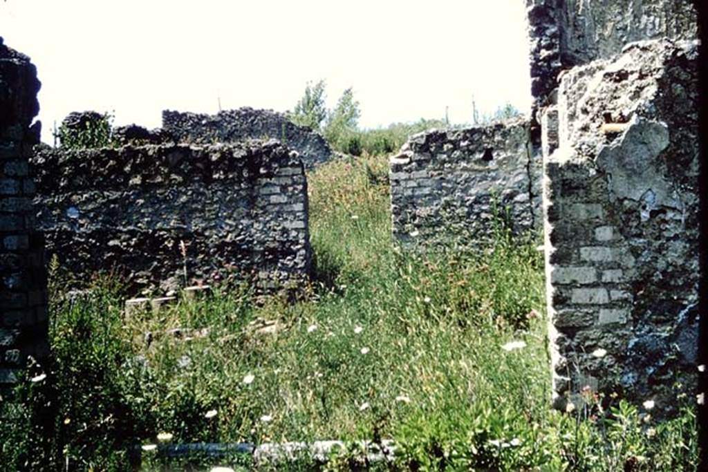 I.13.12 Pompeii. 1964. Looking north through window from atrium towards garden area, at I.13.14.   Photo by Stanley A. Jashemski.
Source: The Wilhelmina and Stanley A. Jashemski archive in the University of Maryland Library, Special Collections (See collection page) and made available under the Creative Commons Attribution-Non Commercial License v.4. See Licence and use details.
J64f1644