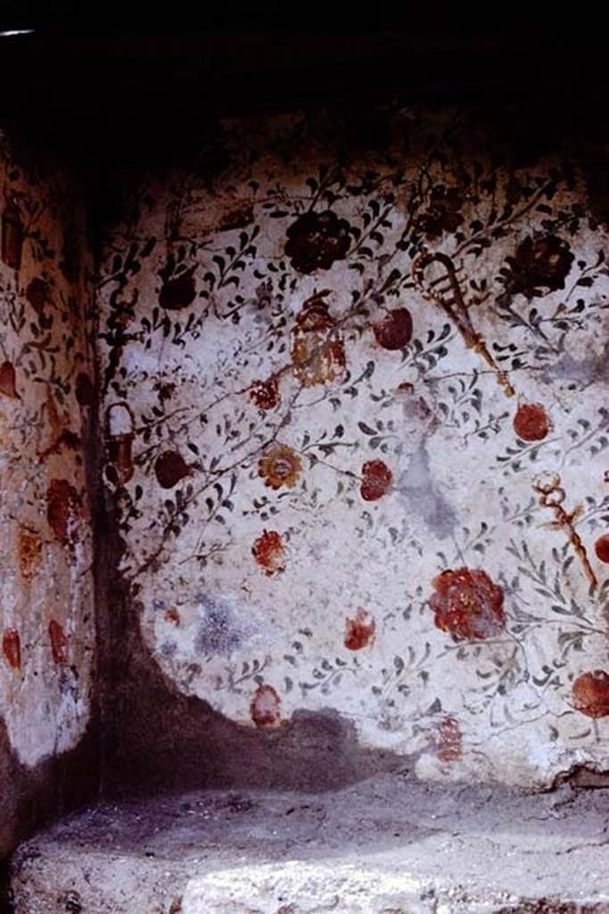 I.13.12 Pompeii. 1966. Detail from painted rear wall. Photo by Stanley A. Jashemski.
Source: The Wilhelmina and Stanley A. Jashemski archive in the University of Maryland Library, Special Collections (See collection page) and made available under the Creative Commons Attribution-Non Commercial License v.4. See Licence and use details.
J66f0503