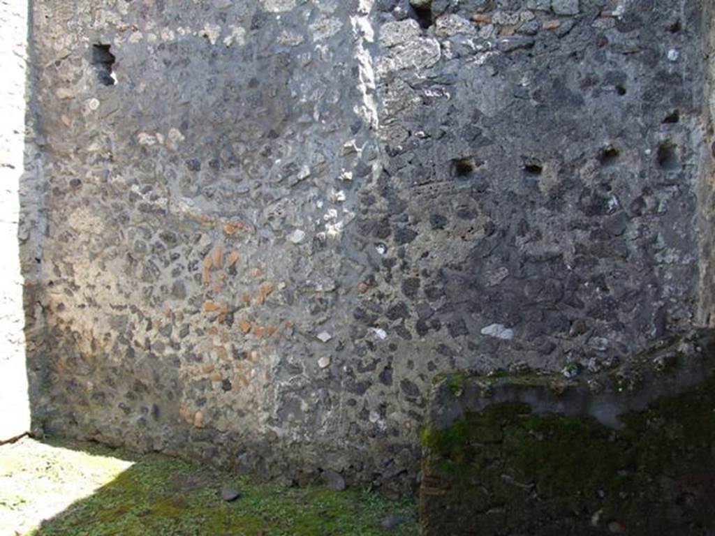 I.13.15 Pompeii. March 2009. East wall of small garden at rear?